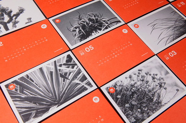 Mstudio calendar 2022